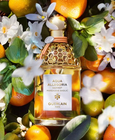 Guerlain Aqua Allegoria Harvest Mandarine Basilic - Woda toaletowa (plnitelná) 125 ml