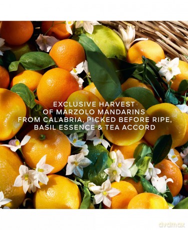 Guerlain Aqua Allegoria Harvest Mandarine Basilic - Woda toaletowa (plnitelná) 125 ml
