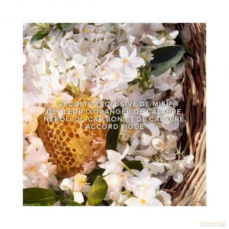 Guerlain Aqua Allegoria Harvest Nerolia Vetiver - Woda toaletowa (plnitelná) 125 ml