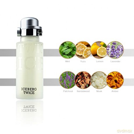 Iceberg Twice Pour Homme - Woda toaletowa 125 ml