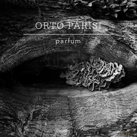 Orto Parisi Boccanera - P 50 ml