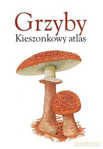 Grzyby. Kieszonkowy atlas - praca zbiorowa [KSIĄŻKA]
