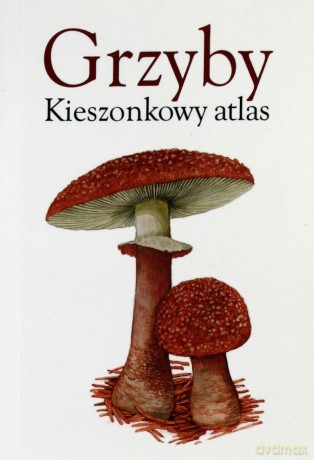 Grzyby. Kieszonkowy atlas - praca zbiorowa [KSIĄŻKA]