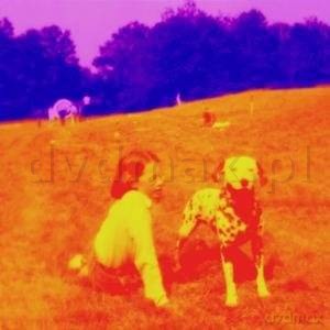 Eels: Blinking Lights And Other Revelations [2CD]