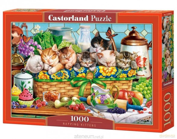 CASTORLAND 1000 el. Napping Kittens [PUZZLE]