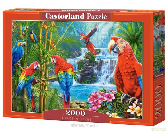 CASTORLAND 2000 el. Parrot Meeting [PUZZLE]