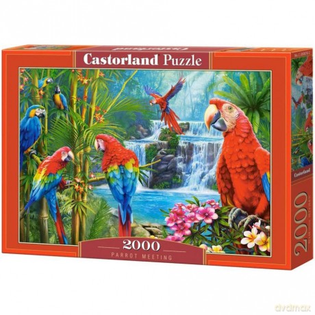 CASTORLAND 2000 el. Parrot Meeting [PUZZLE]
