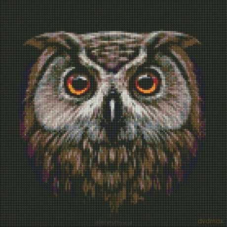 Diamentowa mozaika - Ptak mądrości 40x40 cm