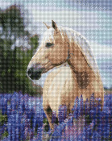 Diamentowa mozaika - Spacer po lawendowym..40x50 cm
