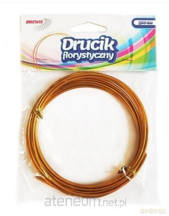Druciki florystyczne 3mx2mm złote