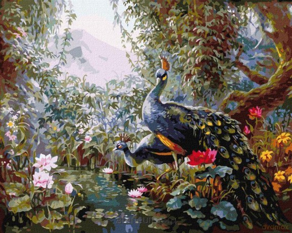 Malowanie po numerach - Bajkowe pawie 40x50 cm