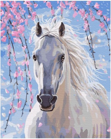 Malowanie po numerach - Biały koń 40x50 cm