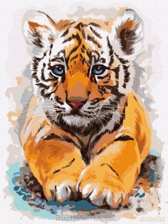 Malowanie po numerach - Mały tygrysek 30x40 cm