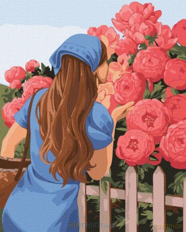 Malowanie po numerach - Pachnące piwonie 40x50 cm