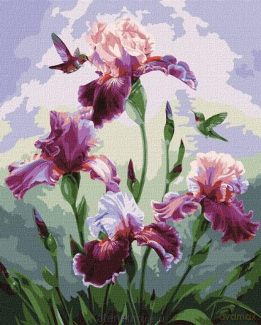 Malowanie po numerach - Piosenka lata 40x50 cm