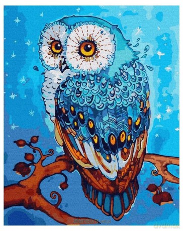 Malowanie po numerach - Sowa zimowa 40x50 cm