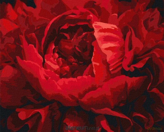 Malowanie po numerach - Wyśmienity kwiat 40x50 cm