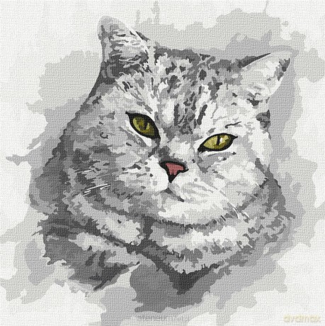 Malowanie po numerach - Zielonookie.. 30x30 cm