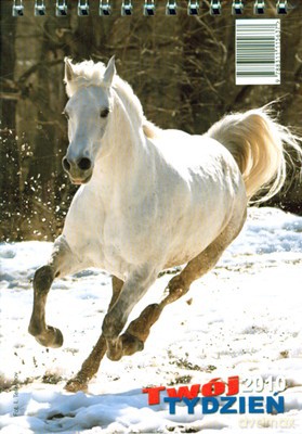 2010 Kal. Na Biurko Twój Tydzień B6 [KSIĄŻKA]
