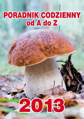 2013 Kal. Poradnik Codzienny Od A Do Z [KSIĄŻKA]
