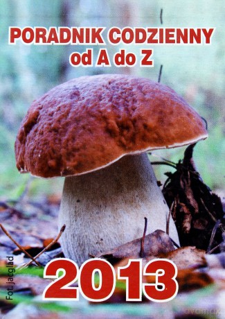 2013 Kal. Poradnik Codzienny Od A Do Z [KSIĄŻKA]