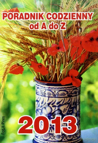 2013 Kal. Poradnik Codzienny Od A Do Z [KSIĄŻKA]