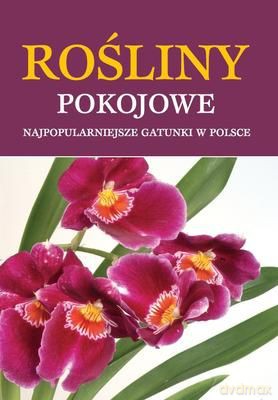 Rośliny Pokojowe Najpopularniejsze Gatunki W Polsce Tw - Praca Zbiorowa  [KSIĄŻKA]