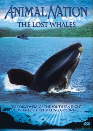 Animal Nation - Lost Whales [DVD]