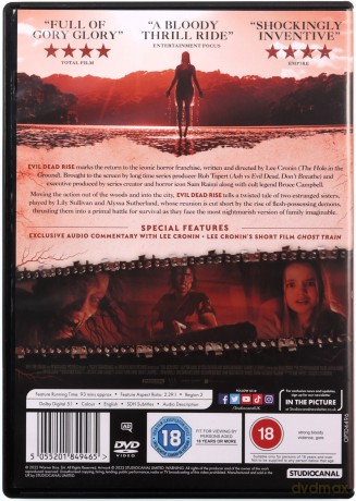 Evil Dead Rise (Martwe zło: Przebudzenie) [DVD]