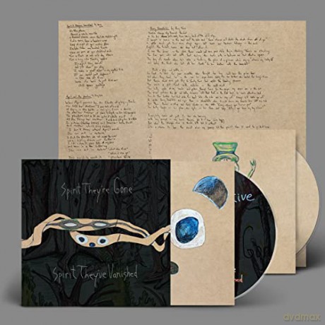 Animal Collective: Spirit They`re Gone... [CD]
