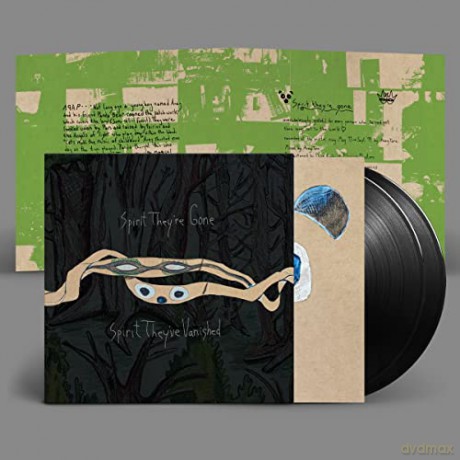 Animal Collective: Spirit They`re Gone... [Winyl]