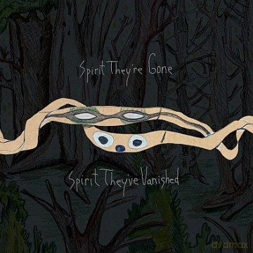 Animal Collective: Spirit They`re Gone... [Winyl]