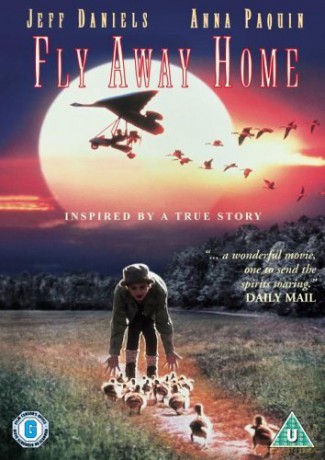 Fly Away Home (Droga do domu) [DVD]