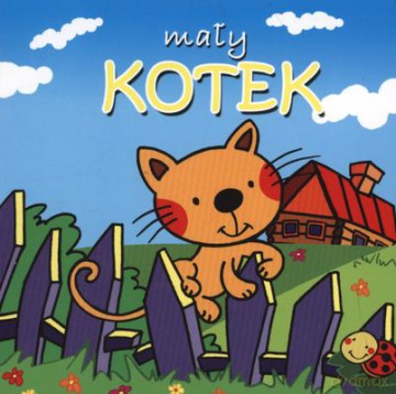 Mały Kotek Tw [KSIĄŻKA]