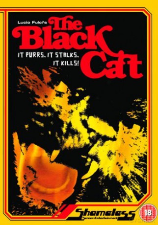 The Black Cat (Czarny kot) [DVD]