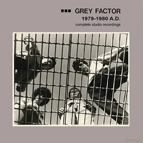 Grey Factor: 1979-1980 A.D. (Complete Studio Recordings) [Winyl]