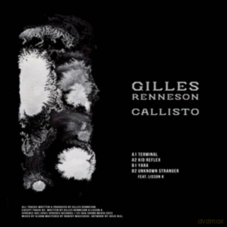 Gilles Renneson: Callisto [Winyl]
