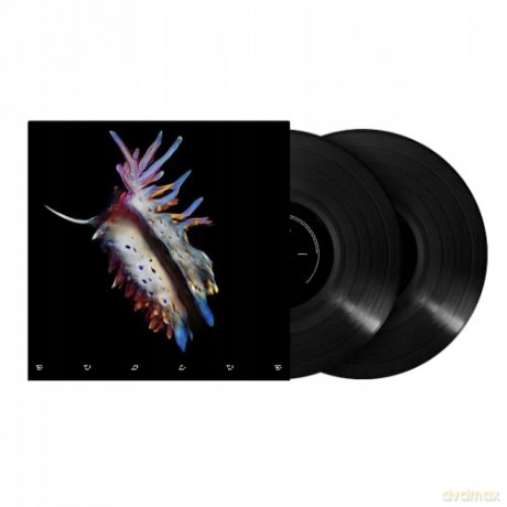 Sub Focus: Evolve [Winyl]