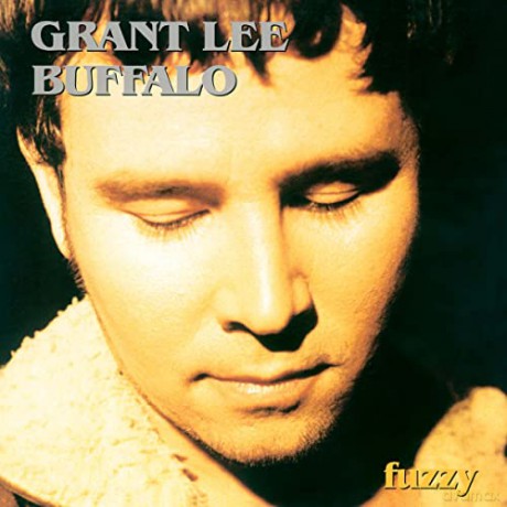 Grant Lee Buffalo: Fuzzy (2023 Remaster) (Clear) [Winyl]
