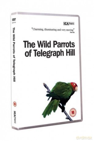 The Wild Parrots Of Telegraph Hill [DVD]