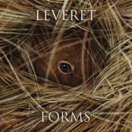 Leveret: Forms [CD]