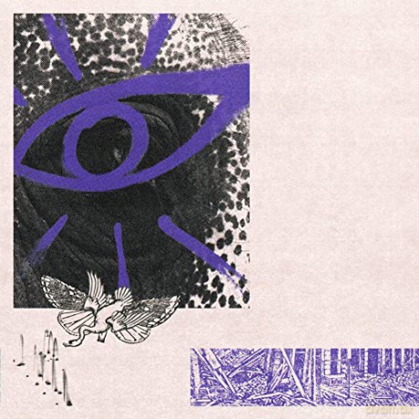 Hippo Campus: Lp3 [KASETA]