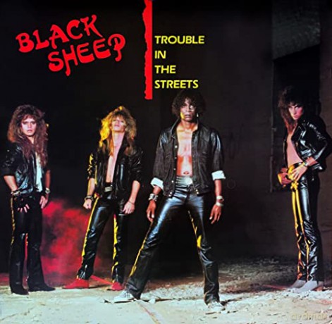 Black Sheep: Trouble In The Streets [CD]