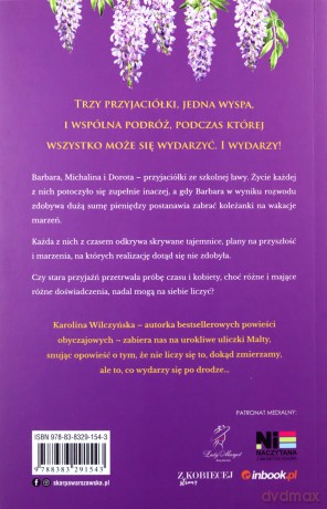 Przyjaźń All Inclusive - Karolina Wilczyńska [KSIĄŻKA]