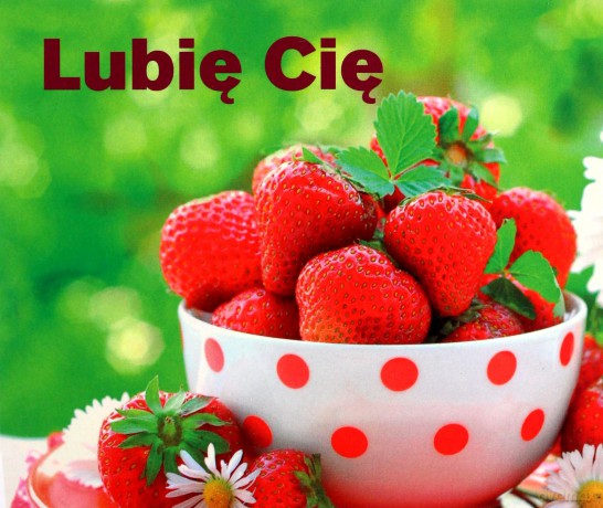 Lubię Cię Perełki [KSIĄŻKA]