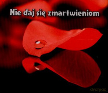 Nie Daj Się Zmartwieniom Perełki [KSIĄŻKA]