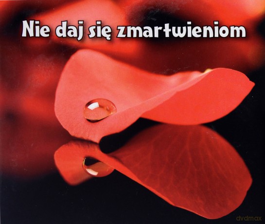 Nie Daj Się Zmartwieniom Perełki [KSIĄŻKA]
