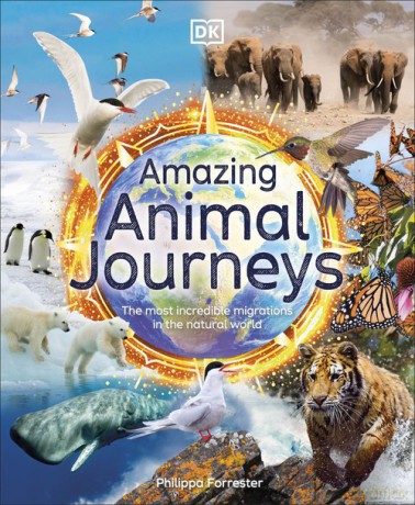 Amazing Animal Journeys - Philippa Forrester [KSIĄŻKA]