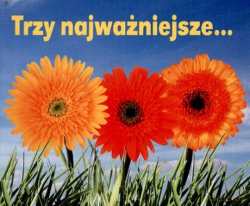 Trzy Najważniejsze... Perełki [KSIĄŻKA]