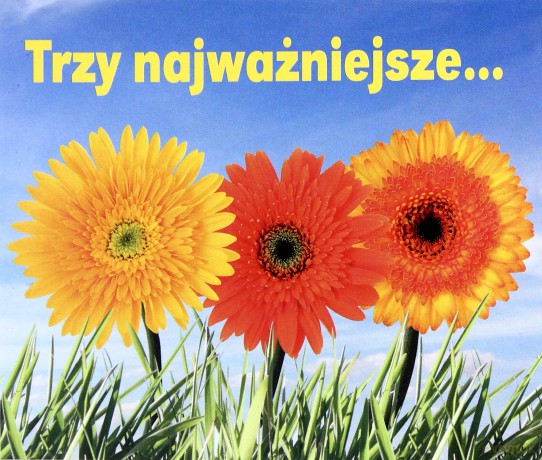 Trzy Najważniejsze... Perełki [KSIĄŻKA]